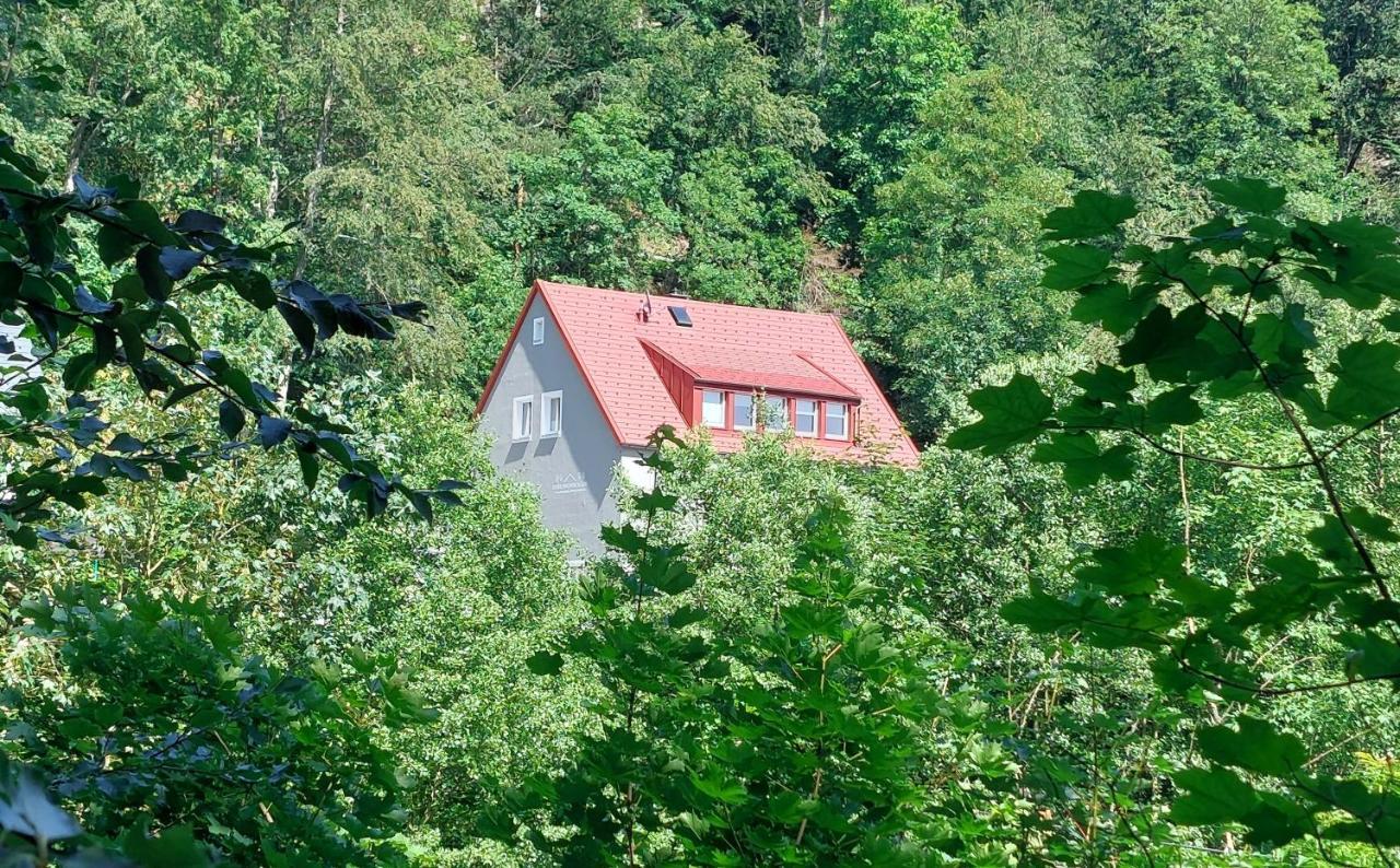 Apartament Am Quellenhaeuschen Naila Zewnętrze zdjęcie